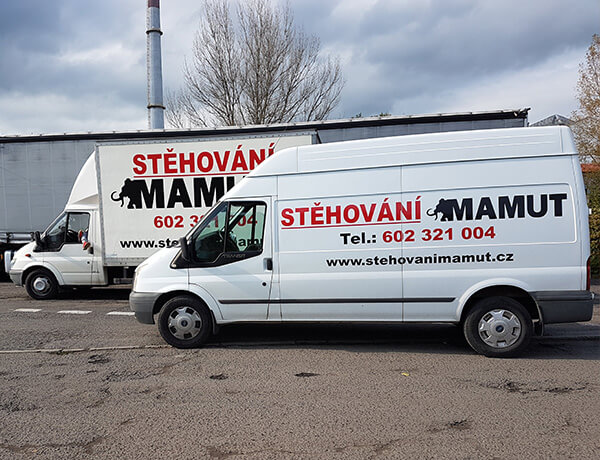 stěhování mamut