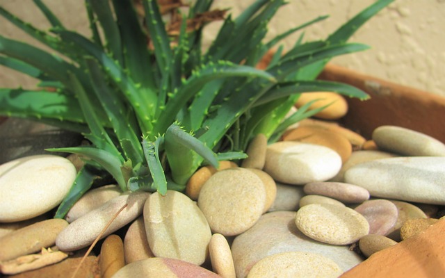 kameny u aloe